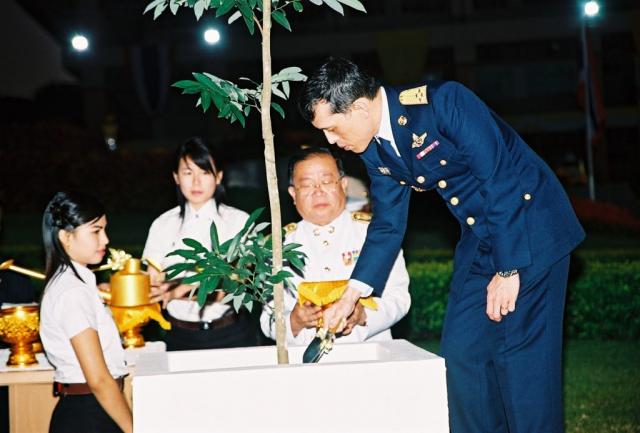 สมเด็จพระบรมโอรสาธิราชฯ สยามมกุฎราชกุมาร (พระอิสริยยศขณะนั้น) ทรงปลูกต้นลำดวน จำนวน 1 ต้น ในพิธีเปิดพระราชานุสาวรีย์สมเด็จพระศรีนครินทราบรมราชชนนี
