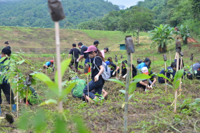 ภาพบรรยากาศกิจกรรมโครงการ “ศธ. ปลูกป่าร่วมใจทำดีเพื่อพ่อ”