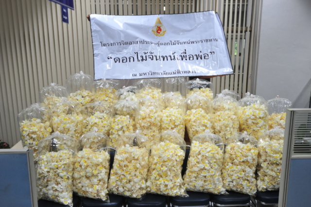 มหาวิทยาลัยแม่ฟ้าหลวงมอบดอกไม้จันทน์ให้กับจังหวัดเชียงราย เพื่อใช้ในพระราชพิธีถวายพระเพลิงพระบาทสมเด็จพระปรมินทรมหาภูมิพลอดุลยเดช