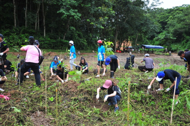 ภาพบรรยากาศกิจกรรมโครงการ “ศธ. ปลูกป่าร่วมใจทำดีเพื่อพ่อ”
