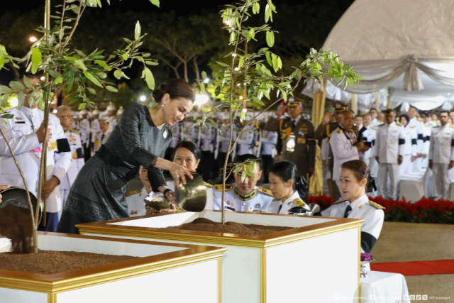 สมเด็จพระนางเจ้า ฯ พระบรมราชินี ทรงปลูกต้นรวงผึ้ง จำนวน 1 ต้น
